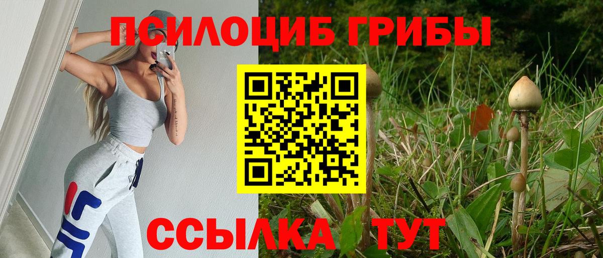 Галлюциногенные грибы мухоморы  Вход с VPN  Тихвин 